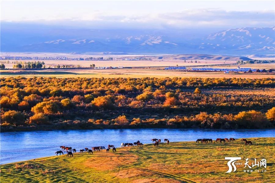 梦想翱翔，新疆，变化天空下的梦想之翼